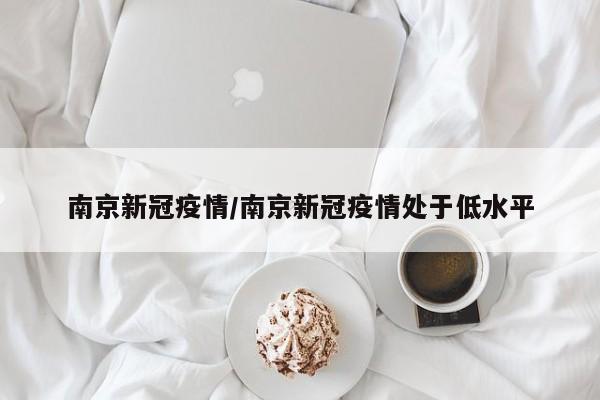南京新冠疫情/南京新冠疫情处于低水平