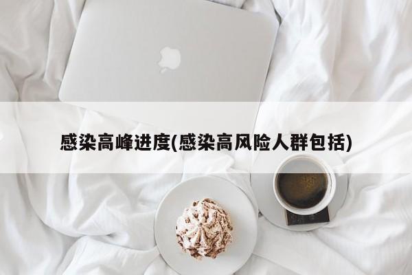 感染高峰进度(感染高风险人群包括)