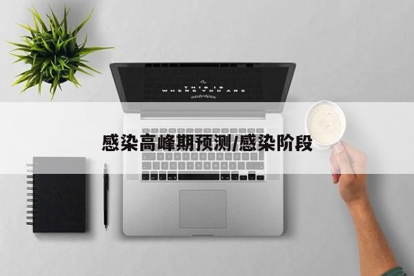 感染高峰期预测/感染阶段