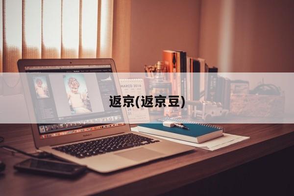 返京(返京豆)