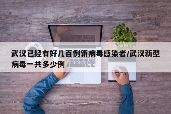 武汉已经有好几百例新病毒感染者/武汉新型病毒一共多少例